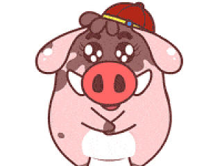 小猪滚滚节日表情系列