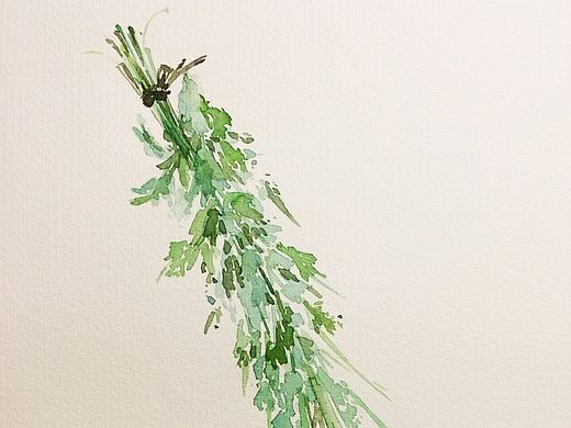 水彩插画——菖蒲艾叶
