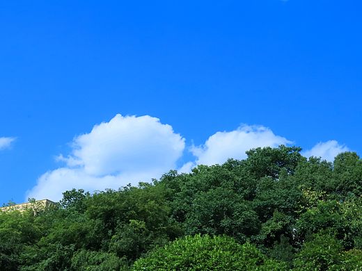 夏日感。（个人主页-ZNTMxNzA1Njg=） - 风光摄影 - 站酷设计师NINM原创素材 - 站酷ZCOOL