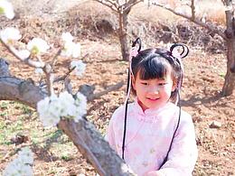 三生三世枕上书