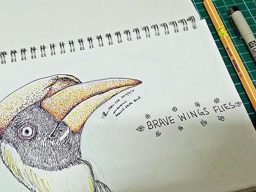 Sketch| Hornbill: Brave Wing Fly