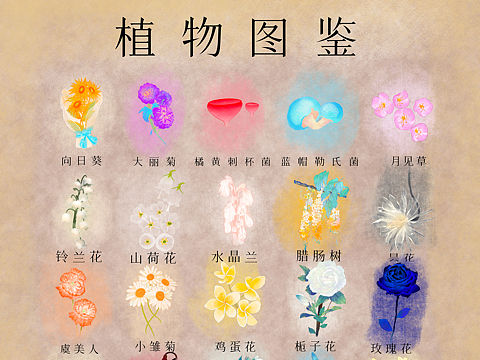 20种植物图鉴