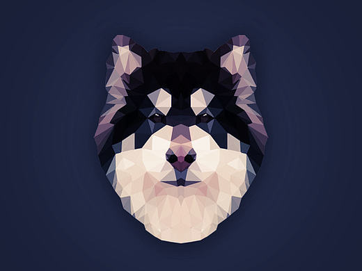 多边形动物头像（个人主页-ZMjE5NzEwNDg=） - 图案 - 站酷设计师TauM原创素材 - 站酷ZCOOL