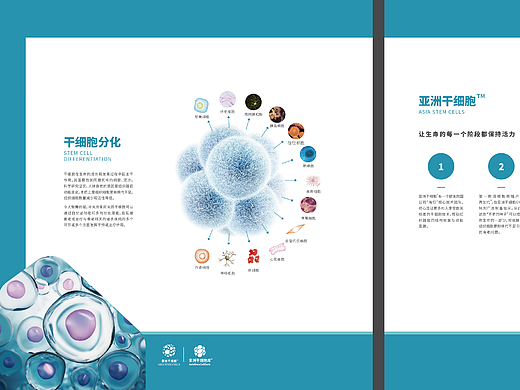 杰瑞文化案例－企业文化墙