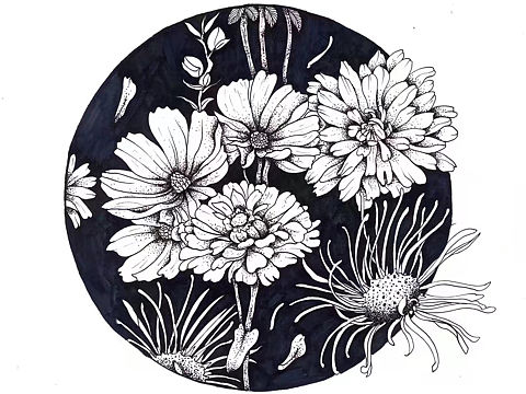 红尘匹马知音少，人与花俱好，花与人俱老。❤️