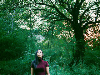 【最爱黄昏日落时】