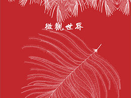 画根羽毛绝对可以让人平心静气[billd巴掌]不骗人