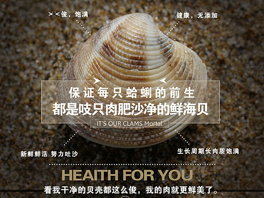 蛤蜊干 淘宝详情页
