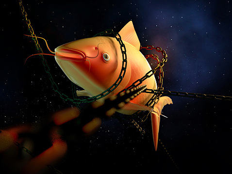 C4D异类（一条鱼的人生）