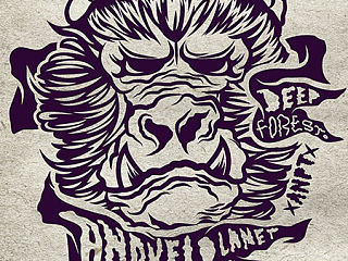 ANOVEL PLANET一些