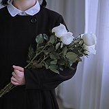 小怡君的头像