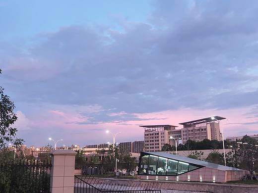 金桔柠檬配玫瑰后调