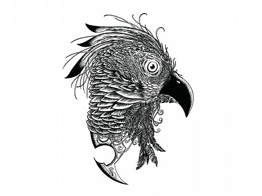 动物插画头像系列