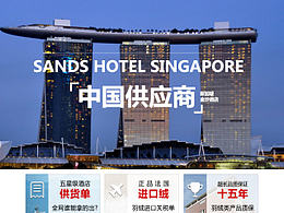 五星级酒店专供羽绒枕