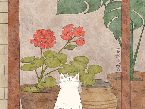 《猫咪与植物》系列插画完成