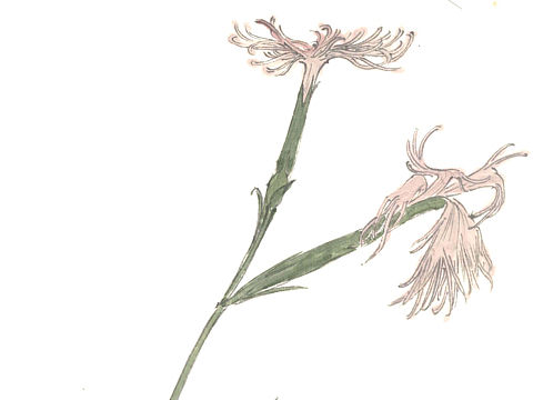 设色-长白山植被-23-44（个人主页-ZMzExNDAzMjg=） - 创作习作 - 站酷设计师文几工作室原创素材 - 站酷ZCOOL