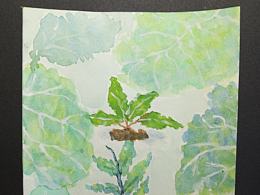 大一春夏秋冬设计作业 12cm×12cm