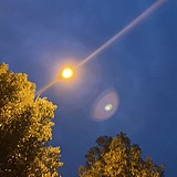 白衣祸世的头像