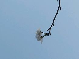 空