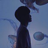 Amns阿梅的头像