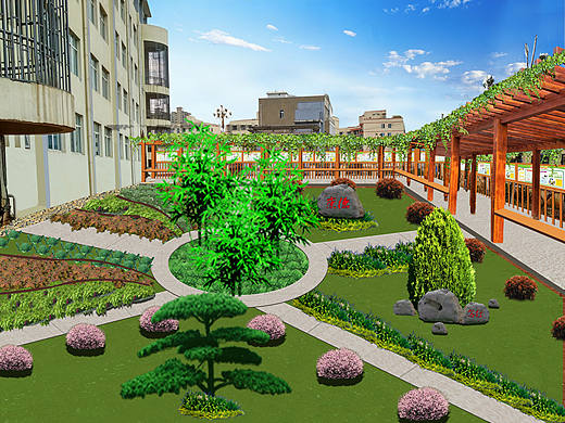 学校花园打造