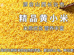 小米详情页