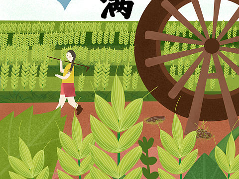 二十四节气 插画