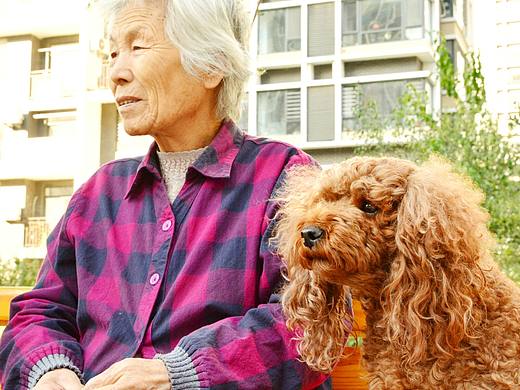 奶奶和哈尼♥（个人主页-ZMTg0NTU3ODg=） - 人像摄影 - 站酷设计师李小白的白原创素材 - 站酷ZCOOL