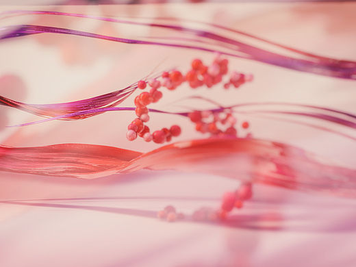 Give me Five!-part 2