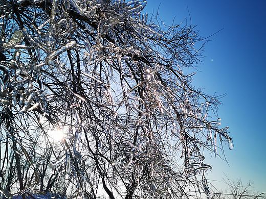 雾凇岛随拍（个人主页-ZNTE2NjgyNTY=） - 风光摄影 - 站酷设计师寒尽影原创素材 - 站酷ZCOOL