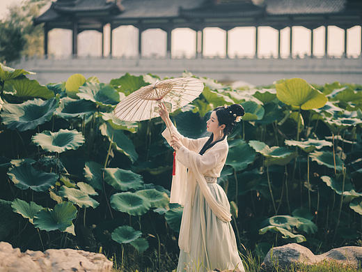 风荷举