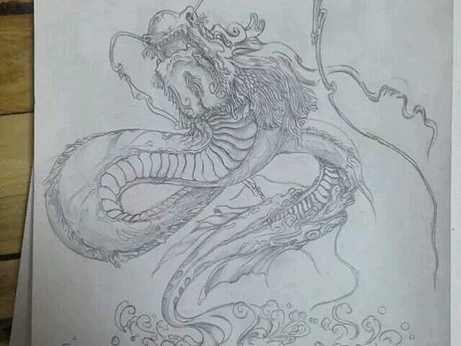 龙