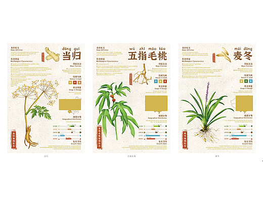 煲汤药材—信息可视化