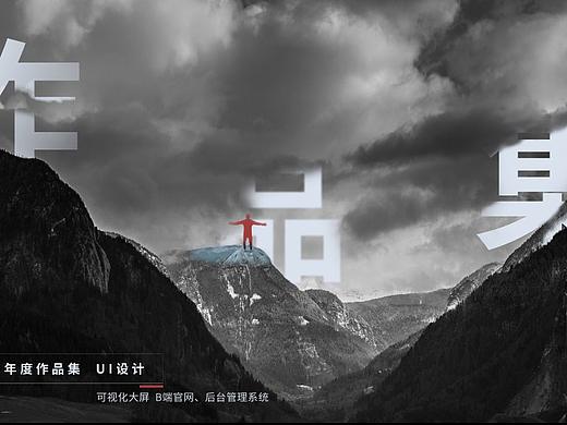 数据可视化、B端、C端作品集