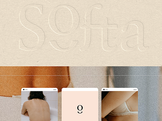 Softa女性内衣品牌设计（个人主页-ZNjQ5MjE4NTY=） - 包装 - 站酷设计师isle小叶子原创素材 - 站酷ZCOOL