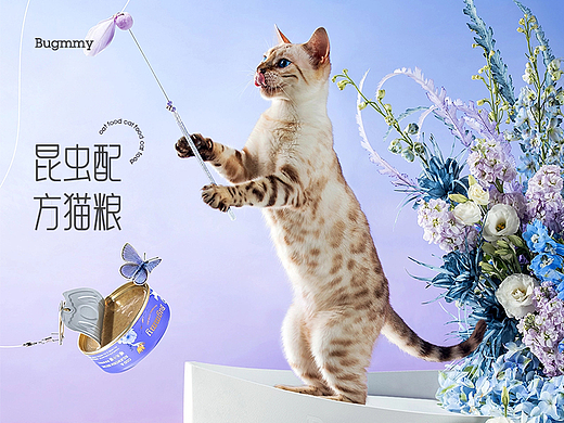 猫粮详情