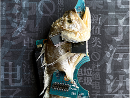 保护鱼类 拒绝电子垃圾 公益海报