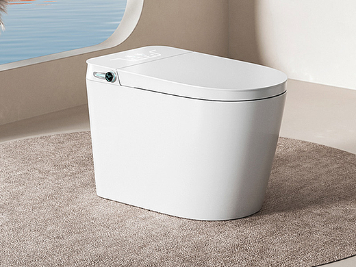 【探索智能马桶新家居】陆月