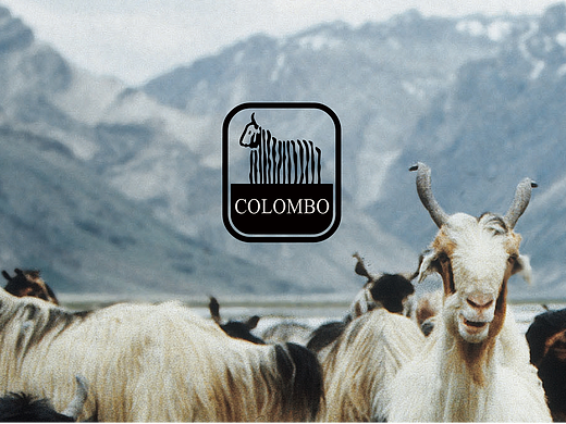 UBD出品｜为奢侈品牌COLOMBO构建中国市场的品牌系统