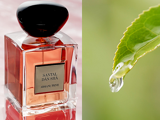 阿玛尼香水礼盒✖美妆拍摄