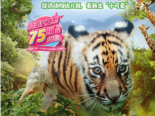 长隆—宠你节线上开屏设计
