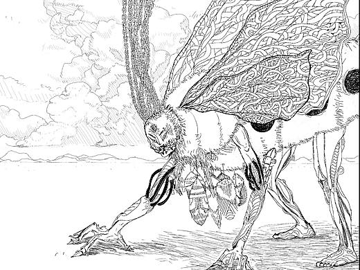 怪诞物语 Part.2——雌飞蛾