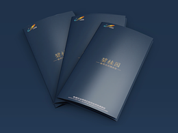 地產(chǎn)-品宣-三折頁