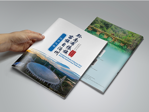 政府招商画册设计-深圳VI设计-深圳画册设计-智睿品牌