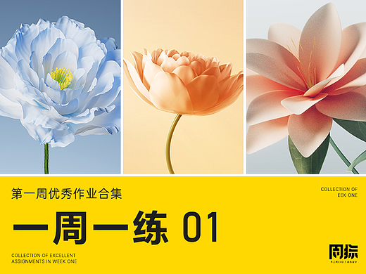 动态周练丨第1周优秀作品