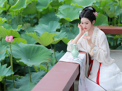 客｜夏日荷花宋制复原汉服