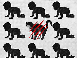 今天是流浪动物，明天呢