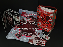 Publication design