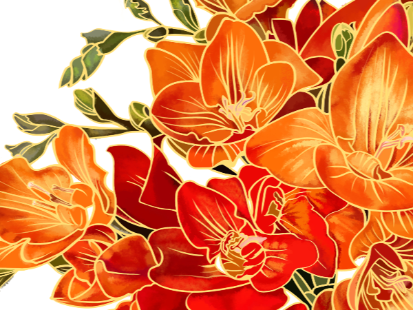 《香雪兰》_猫楠站酷ZCOOL