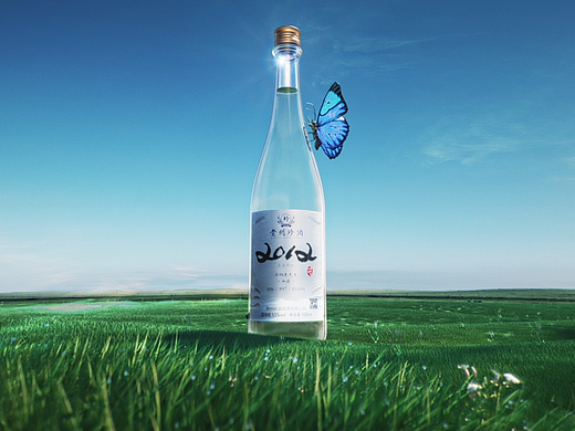 贵州珍酒—环保片